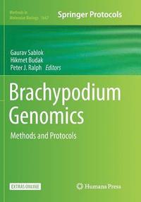 bokomslag Brachypodium Genomics