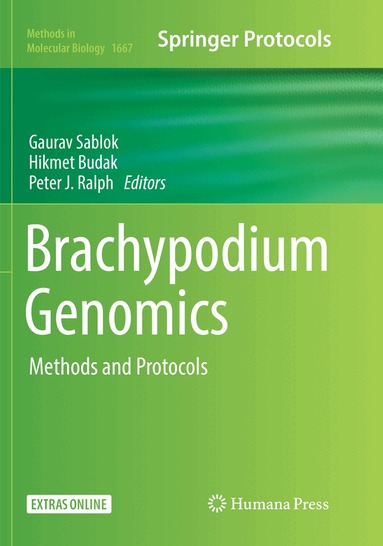 Gaurav Sablok, Hikmet Budak, Peter J. Ralph - Brachypodium Genomics, Häftad