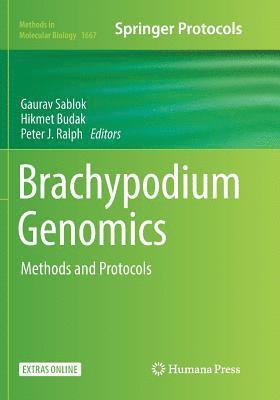 bokomslag Brachypodium Genomics