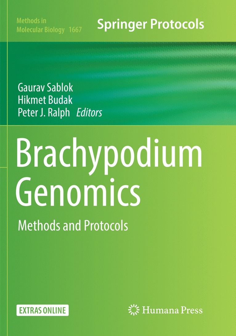 Gaurav Sablok, Hikmet Budak, Peter J. Ralph - Brachypodium Genomics, Häftad