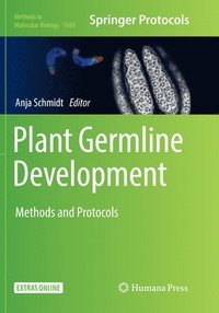 bokomslag Plant Germline Development