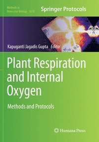 bokomslag Plant Respiration and Internal Oxygen