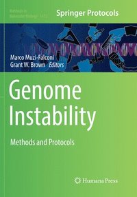 bokomslag Genome Instability