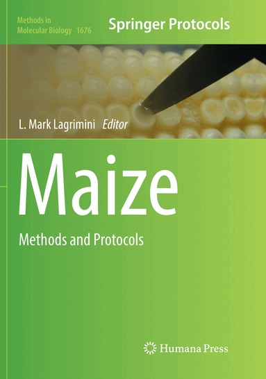 L. Mark Lagrimini - Maize, Häftad