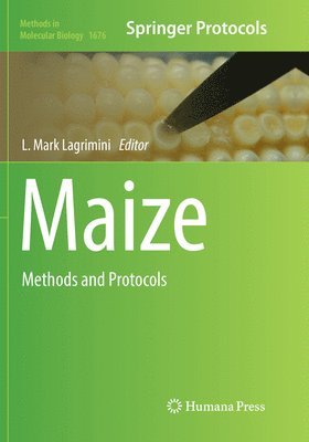 bokomslag Maize