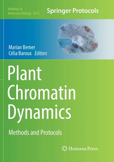 Marian Bemer, Célia Baroux - Plant Chromatin Dynamics, Häftad