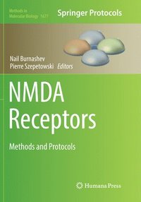 bokomslag NMDA Receptors