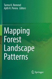 bokomslag Mapping Forest Landscape Patterns