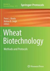 bokomslag Wheat Biotechnology