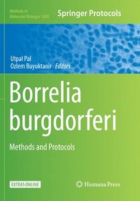 bokomslag Borrelia burgdorferi