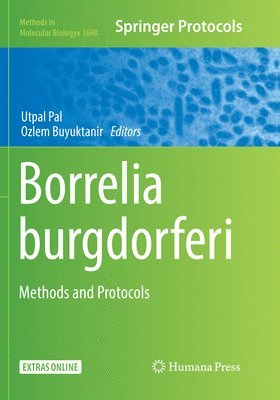 bokomslag Borrelia burgdorferi