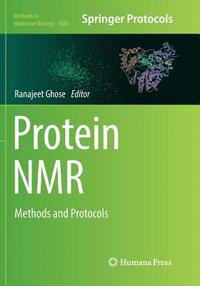 bokomslag Protein NMR