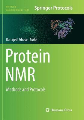 bokomslag Protein NMR