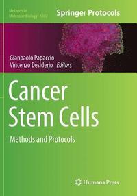 bokomslag Cancer Stem Cells