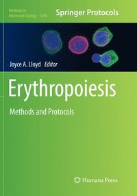 bokomslag Erythropoiesis