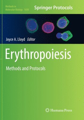 Erythropoiesis 1