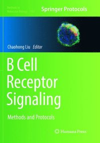 bokomslag B Cell Receptor Signaling