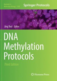 bokomslag DNA Methylation Protocols