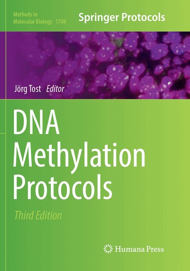 Jörg Tost - DNA Methylation Protocols, Häftad