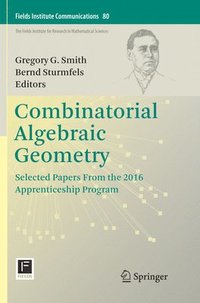 bokomslag Combinatorial Algebraic Geometry