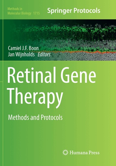 Camiel J.F. Boon, Jan Wijnholds - Retinal Gene Therapy, Häftad