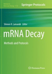 bokomslag mRNA Decay