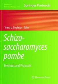 bokomslag Schizosaccharomyces pombe