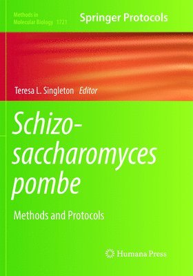 bokomslag Schizosaccharomyces pombe