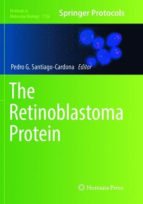 Retinoblastoma Protein 1