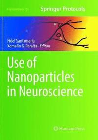 bokomslag Use of Nanoparticles in Neuroscience