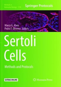 bokomslag Sertoli Cells