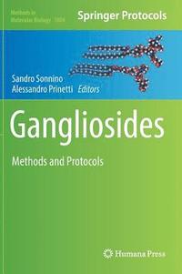 bokomslag Gangliosides