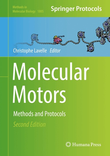 Christophe Lavelle - Molecular Motors, Inbunden