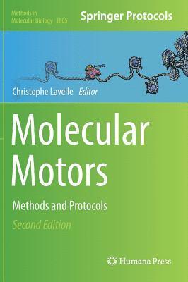 bokomslag Molecular Motors