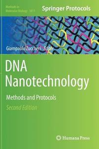 bokomslag DNA Nanotechnology