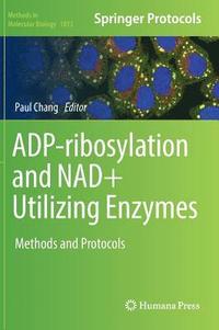 bokomslag ADP-ribosylation and NAD+ Utilizing Enzymes