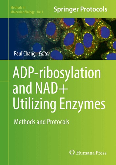 Paul Chang - ADP-ribosylation and NAD+ Utilizing Enzymes, Inbunden