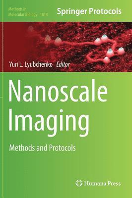 bokomslag Nanoscale Imaging