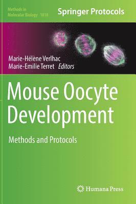 bokomslag Mouse Oocyte Development