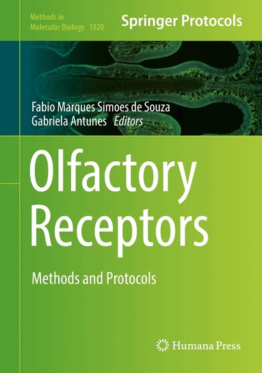 Fabio Marques Simoes de Souza, Gabriela Antunes - Olfactory Receptors, Inbunden