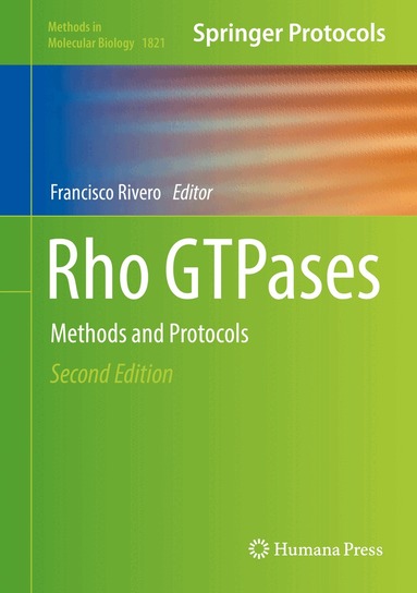 Francisco Rivero - Rho GTPases, Inbunden