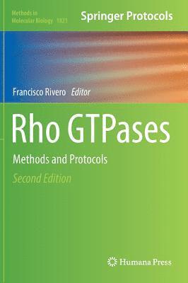 Francisco Rivero - Rho GTPases, Inbunden