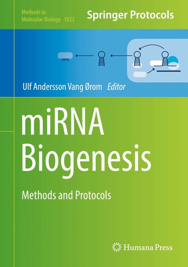 Ulf Andersson Vang Ørom - miRNA Biogenesis, Inbunden