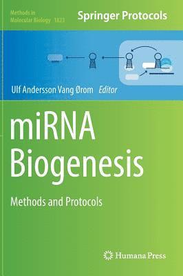 bokomslag miRNA Biogenesis