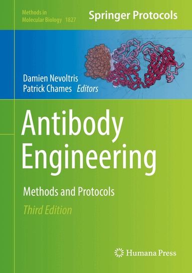 Damien Nevoltris, Patrick Chames - Antibody Engineering, Inbunden