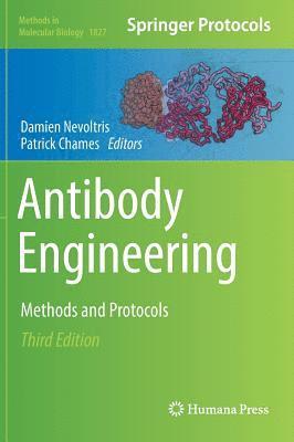 Antibody Engineering