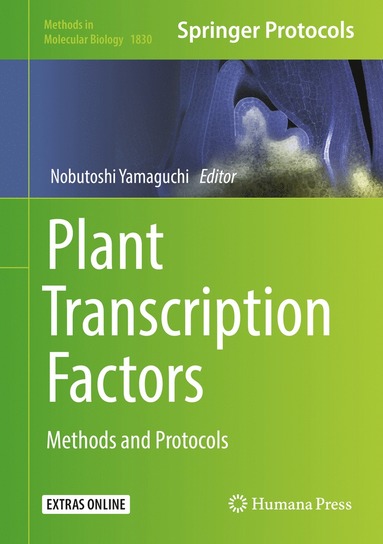 bokomslag Plant Transcription Factors