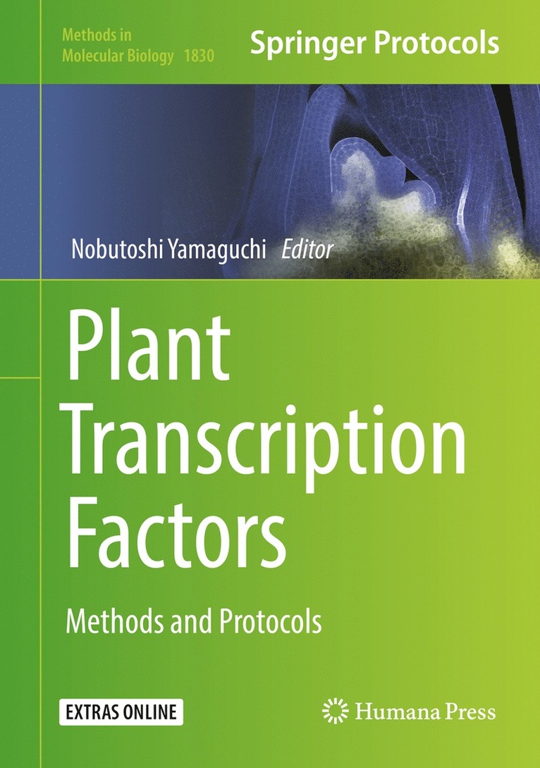 Nobutoshi Yamaguchi - Plant Transcription Factors, Inbunden