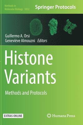 Histone Variants
