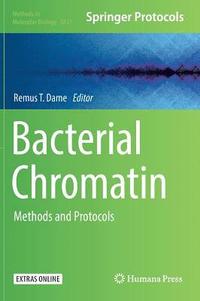 bokomslag Bacterial Chromatin